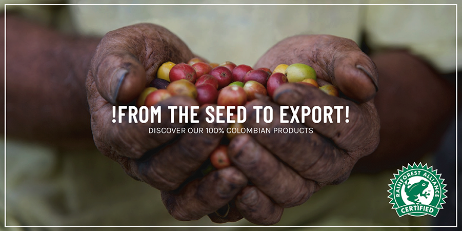 From the seed to export
